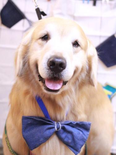 20230407マックくん